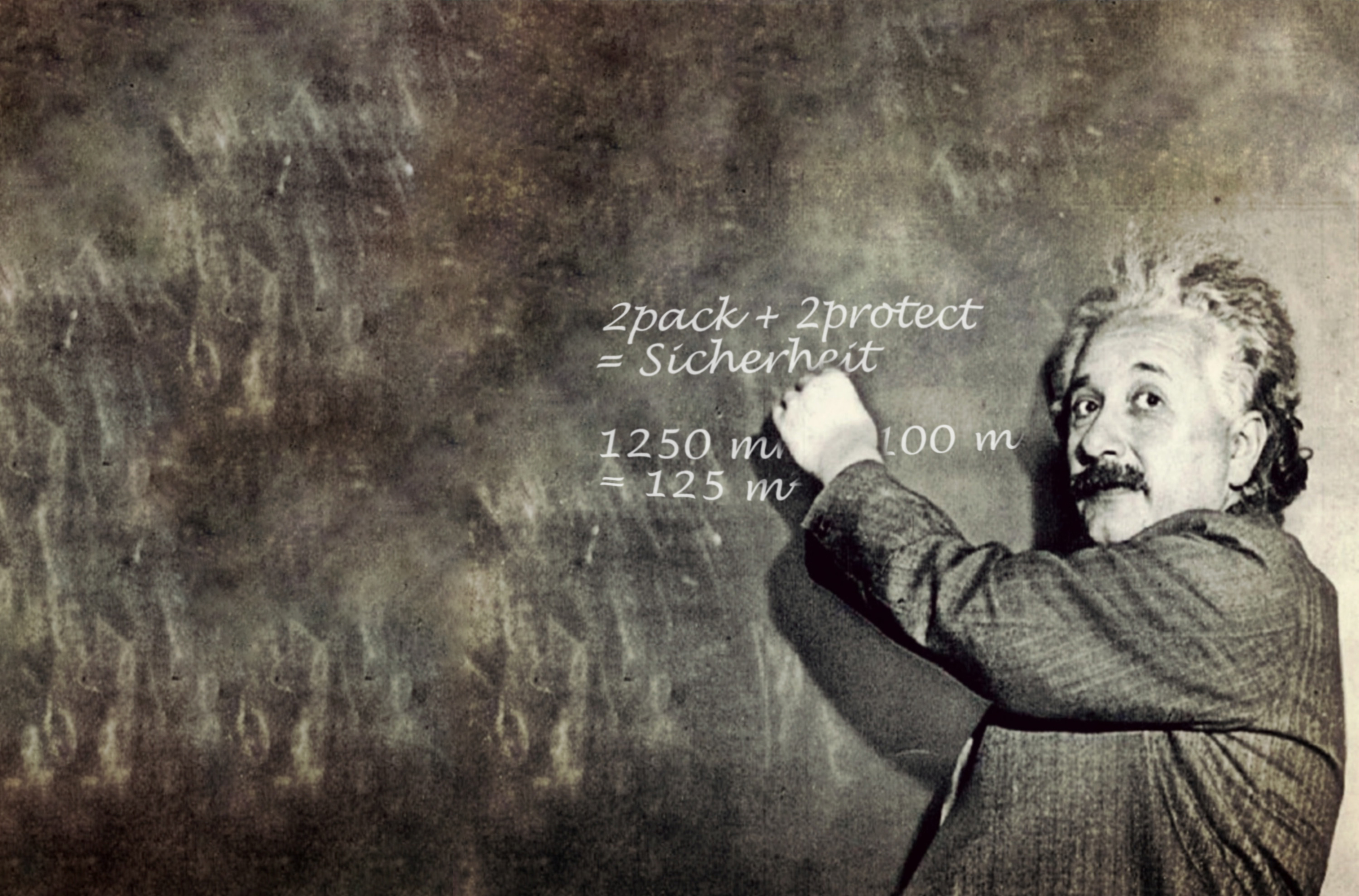 Porträt von Albert Einstein